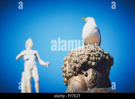 Seagull assis sur la tête de réplique en bronze sculpture de Marc Aurèle avec toit statue en arrière-plan La Piazza del Campidoglio Rome Lazio Europe Banque D'Images