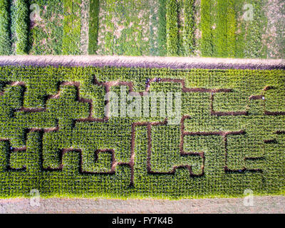 Vue aérienne d'un labyrinthe de maïs à l'Ag 2015 En progrès jour State College, en Pennsylvanie. Banque D'Images