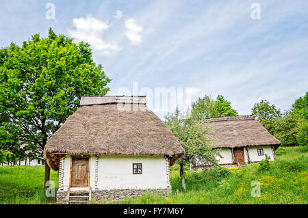 L'argile blanc ancien maisons aux toits de chaume et les portes en bois sur une colline dans un champ de fleurs jaunes entourées d'arbres. Banque D'Images