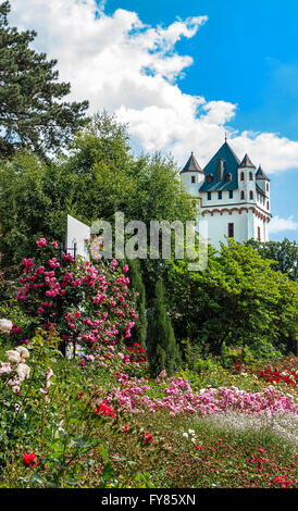 Eltville am Rhein, ville rose en Allemagne Banque D'Images