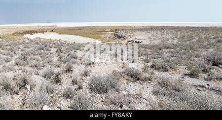 Vue sur la casserole de sel, parc national d'Etosha, Namibie Banque D'Images