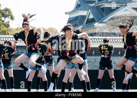 Japanese female dance troupe d'adolescentes, holding naruko, danser sur scène en plein air avec Château Kumamoto derrière eux, au cours de la fête de Yosakoi. Banque D'Images