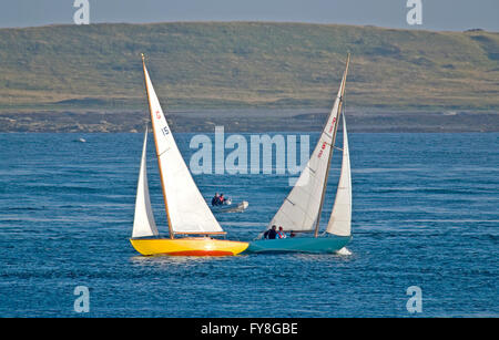 Deux yachts, bien enfuyés sur des cabanes opposées, traversent les uns près des autres, Strangford Lough, County Down, Irlande du Nord Banque D'Images