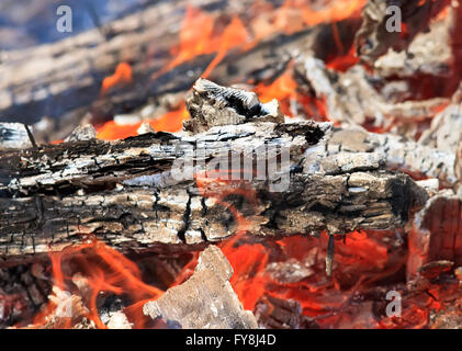 Flammes de feu avec des flammes de feu et de cendres chaudes blanc du bois carbonisé Banque D'Images