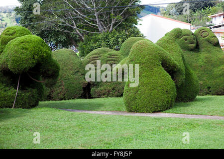 Le Francisco Alvardo avec son célèbre parc à topiaires Zarcero, Costa Rica Banque D'Images