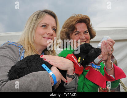 Salzbourg, Autriche. Apr 23, 2016. Actrices autrichienne Susanne Michels (L) et Christa Clarin, veuve de l'acteur Hans Clarin câlin avec agneau noir Mimmi pendant la célébration de l'anniversaire "15 Jahre Tierliebe" (lit.15 ans d'amour des animaux) à la succession Gut Aiderbichl en Henndorf près de Salzbourg, Autriche, 23 avril 2016. L'animal sanctuary prend soin d'animaux qui ont une triste histoire de vie. Photo : Ursula Dueren/dpa/Alamy Live News Banque D'Images