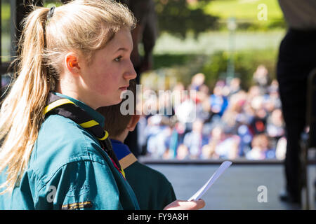 Bournemouth, Dorset, Royaume-Uni 24 avril 2016. Par temps froid, de grandes foules se détournent pour soutenir la parade des scouts de la Saint-Georges. Jeunes garçons et filles scouts petits castors brownies guides fêtent le jour de Saint Georges participant à la procession. Crédit : Carolyn Jenkins/Alay Live News Banque D'Images