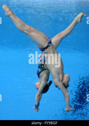 Kazan, Russie. 23 avril, 2016. Yulia Timoshinina Shleikher et Nikita la Russie de faire concurrence au cours de la plate-forme mixte 10m synchro au final FINA/NVC diving world series à Kazan, Russie, le 23 avril 2016 Crédit : Pavel Bednyakov/Alamy Live News Banque D'Images