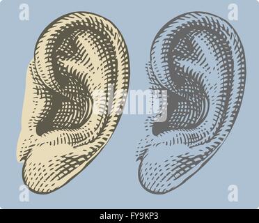 Oreille humaine dans leur gravure Illustration de Vecteur