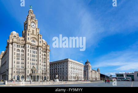 Le Royal Liver, Cunard et Port de Liverpool Bâtiments ('Les Trois Grâces'), Pier Head, Liverpool, Merseyside, England, UK Banque D'Images