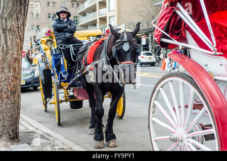 New York, NY - 31 mars 2016 - Dante, un cheval chariot noir, attend les clients sur Central Park South. ©Stacy Walsh Rosenstock Banque D'Images