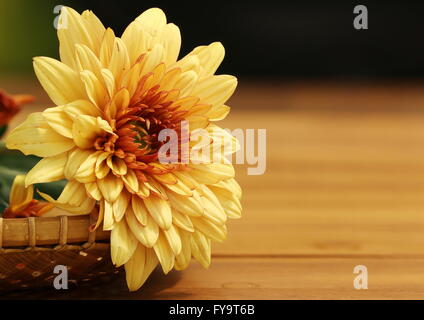 Orange unique à l'intérieur d'un chrysanthème bambou tissés panier sur une table en bois de teck qui peut être utilisé comme carte de vœux. Banque D'Images