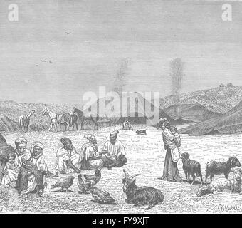 Maroc : UN Douar dans la région de Beni-Hassan, antique print 1882 Banque D'Images