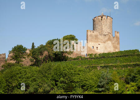 Ruines de château Sentier du Château, Kaysersberg, Alsace, France Banque D'Images