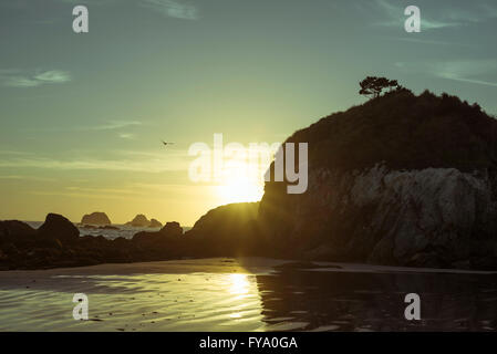 Plage de galets au coucher du soleil. Crescent City, Californie. Banque D'Images