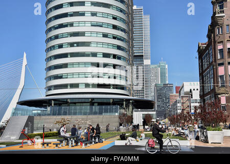 Centre Port mondial ( Kop van Zuid ) Montevideo Hotel New York Rotterdam Pays-Bas Dutch ( Nouvelle Meuse Pont Erasmus Swan ) Banque D'Images