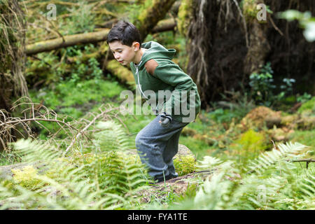 Boy playing in forest Banque D'Images