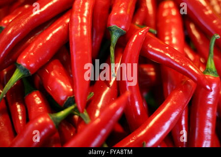 Chili Pepper sur la place du marché de Bonn, Allemagne Banque D'Images