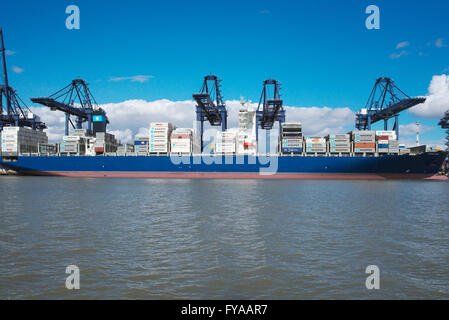 Vue depuis la mer du Nord du port de Felixstowe dans le Suffolk et un porte-conteneurs d'être chargés à partir de la rive Banque D'Images