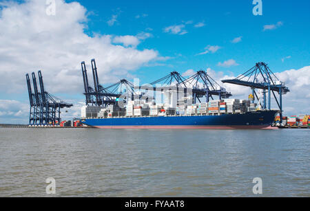 Vue depuis la mer du Nord du port de Felixstowe dans le Suffolk et un porte-conteneurs d'être chargés à partir de la rive Banque D'Images