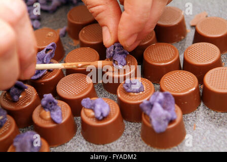 Chocolat Walkers,Emporium Ilfracombe,UK un chocolatier traditionnel bonbons confiserie gobstoppers fait-main sucre alimentaire Banque D'Images