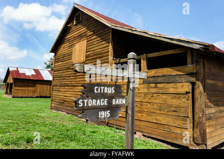 Orlando Florida, Pioneer Village à Shingle Creek, bâtiments historiques, Citrus Storage Barn, FL160402022 Banque D'Images