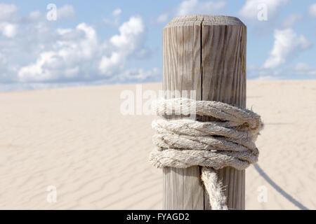 Déplacement des dunes dans le Parc National Slowinski, Pologne Banque D'Images