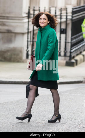 Theresa Villiers,secrétaire d'état pour l'Irlande du Nord,arrive à Downing Street pour une réunion du cabinet Banque D'Images