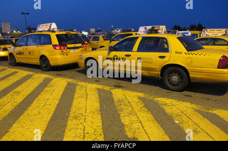 Les taxis jaunes attendent en ligne à JFK' s Central tenant beaucoup à attendre leur tour pour accéder aux bornes de prendre des passagers Banque D'Images