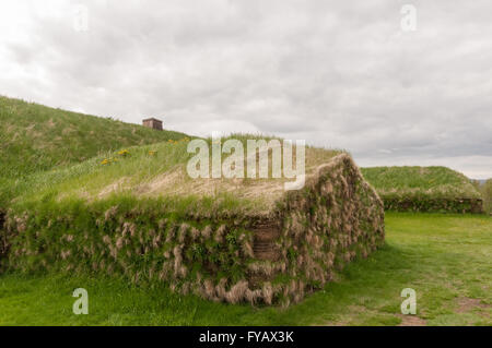 Pjodveldisbaer Islande maisons gazon Banque D'Images