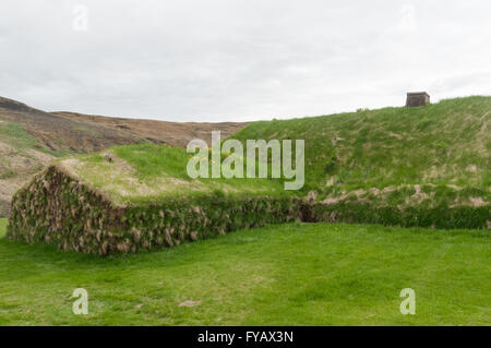 Maison Pjodveldisbaer Gazon viking d'Islande Banque D'Images