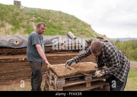 Construction d'une maison Viking Pjodveldisbaer, Islande Banque D'Images