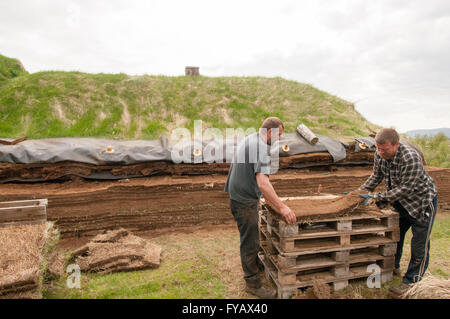 Pjodveldisbaer l'Islande, restauration de maison viking Banque D'Images