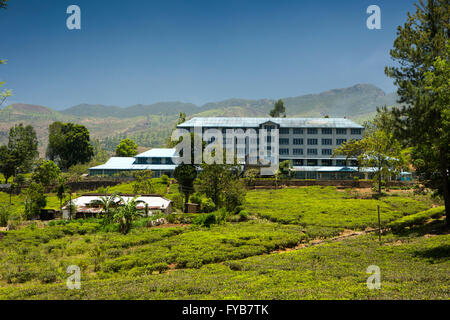 Sri Lanka, Nuwara Eliya, Ramboda, Harrow, montage sur le terrain de l'usine de thé bleu Banque D'Images