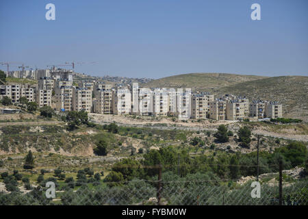 Jérusalem, USA. Apr 15, 2016. Bâtiments d'une colonie israélienne près de Jérusalem. La vie à Jérusalem, Israël et la Palestine est dit être lentement à la normale après des mois d'attaques au cours de laquelle 28 Israéliens et deux américains ont été tués par des attentats palestiniens, l'un par un bus piégé, et au moins 188 Palestiniens tués par des tirs israéliens. © Jay Egelsbach/ZUMA/Alamy Fil Live News Banque D'Images