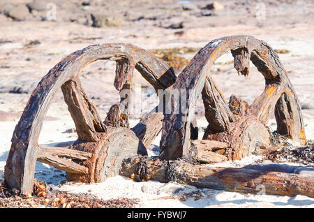 La rouille des roues de chariot ferroviaire historique sur l'Île Windang Illawarra NSW Australie Banque D'Images