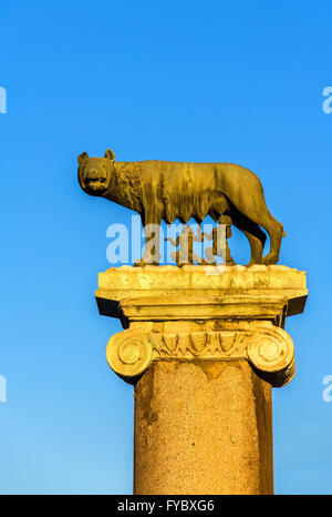 Statue de loup du Capitole à Rome, Italie Banque D'Images
