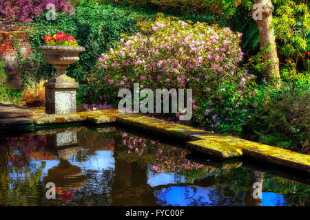 Dans le jardin en contrebas, Hursley Hampshire, Angleterre, Royaume-Uni Banque D'Images