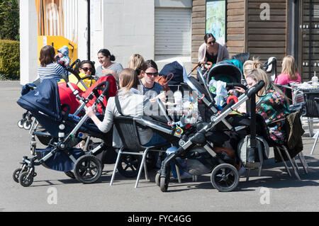 Les mères avec des poussettes à Lakeside Cafe, Alexandra Palace, London Borough of Haringey, Greater London, Angleterre, Royaume-Uni Banque D'Images