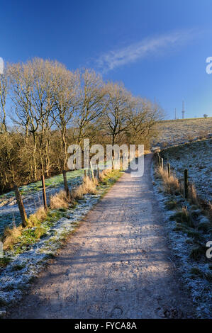 Matinée glaciale le long de la route d'une ancienne voie romaine de Bath-Silchester sur le côté de Morgan's Hill. Banque D'Images