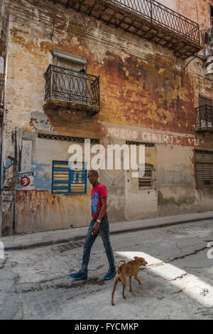 Un homme et un chien passer comme ils marche sur la route dans la Vieille Havane, Cuba. Une belle toile de mur patiné Burnt Umber Banque D'Images