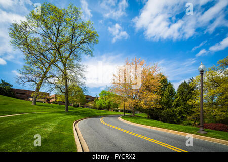 Couleur de printemps le long d'une route à la John Hopkins au mont Washington, à Baltimore, Maryland. Banque D'Images