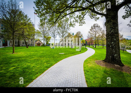 Arbres et promenade à la Loyola University, Maryland à Baltimore, Maryland. Banque D'Images