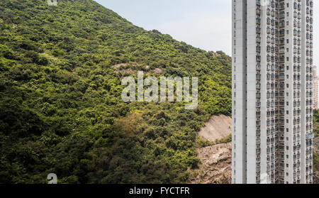 Les jeunes adultes de la randonnée et camping à Tai Long Wan, à côté de Ham Tim Beach dans les Nouveaux Territoires, Hong Kong Banque D'Images