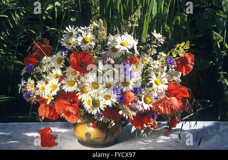 Bouquet de fleurs des champs Banque D'Images