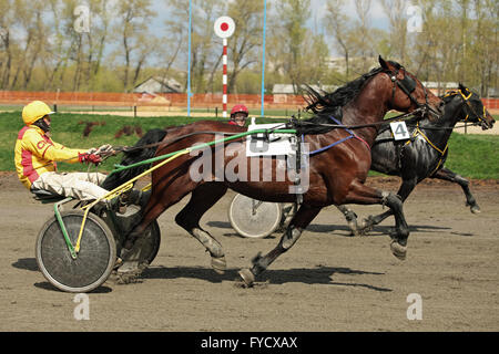 Faisceau Hippodrome courses de chevaux trotter event Banque D'Images