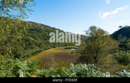 Une vue sur la rivière de plaine d'Callop entourée par la forêt dans Glenfinnan, Écosse, Royaume-Uni. Banque D'Images