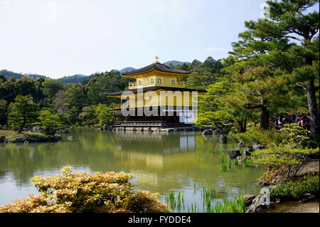 Temple Kinkakuji (Pavillon d'Or) à Kyoto, Japon Banque D'Images