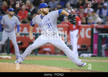 Anaheim, Californie, USA. Apr 25, 2016. Le lanceur partant des Royals de Kansas City, Ian Kennedy # 31 fait le point de départ de la famille royale dans le jeu entre les Royals de Kansas City et Los Angeles Angels of Anaheim, Angel Stadium d'Anaheim, CA. Credit : Cal Sport Media/Alamy Live News Banque D'Images