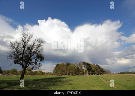 Bushy Park, Londres, UK. 26 avril 2016. Météo France : d'énormes cumulonimbus passent au-dessus de Bushy Park, sur un après-midi de soleil et de douches dans le sud ouest de Londres. Credit : Julia Gavin UK/Alamy Live News Banque D'Images